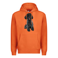 Carrot black poodles dog Premium Hoodie - LillyAllenDesigns