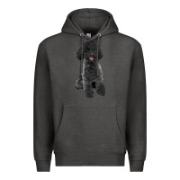 Charcoal Heather black poodles dog Premium Hoodie - LillyAllenDesigns