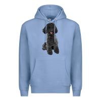 Colony Blue black poodles dog Premium Hoodie - LillyAllenDesigns