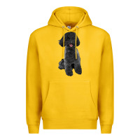 Lemon black poodles dog Premium Hoodie - LillyAllenDesigns