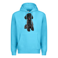 Ocean Blue black poodles dog Premium Hoodie - LillyAllenDesigns
