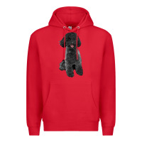 Red black poodles dog Premium Hoodie - LillyAllenDesigns