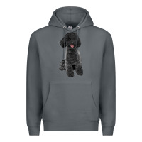 Rock black poodles dog Premium Hoodie - LillyAllenDesigns