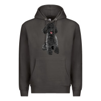 Smoke black poodles dog Premium Hoodie - LillyAllenDesigns
