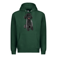 Sports Green black poodles dog Premium Hoodie - LillyAllenDesigns