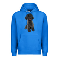 True Royal black poodles dog Premium Hoodie - LillyAllenDesigns