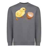 Storm chick with egg Heavyweight Sweatshirt - RanaPortraitStore
