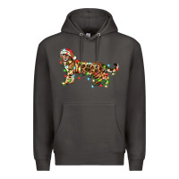 Smoke christmas bengal cat Premium Hoodie - LillyAllenDesigns