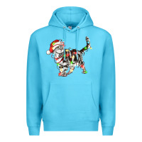 Ocean Blue christmas american shorthair cat Premium Hoodie - LillyAllenDesigns
