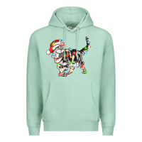 Seafoam christmas american shorthair cat Premium Hoodie - LillyAllenDesigns