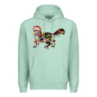 Seafoam christmas christmas maine coon cat cat Premium Hoodie - LillyAllenDesigns