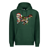 Sports Green christmas christmas maine coon cat cat Premium Hoodie - LillyAllenDesigns