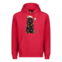 Cardinal christmas newfoundland dog Premium Hoodie - LillyAllenDesigns