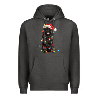 Charcoal Heather christmas newfoundland dog Premium Hoodie - LillyAllenDesigns
