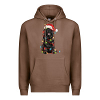 Chestnut christmas newfoundland dog Premium Hoodie - LillyAllenDesigns