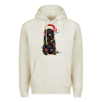 Oatmeal Heather christmas newfoundland dog Premium Hoodie - LillyAllenDesigns