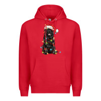 Red christmas newfoundland dog Premium Hoodie - LillyAllenDesigns