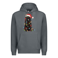 Rock christmas newfoundland dog Premium Hoodie - LillyAllenDesigns