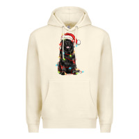 Sandshell christmas newfoundland dog Premium Hoodie - LillyAllenDesigns