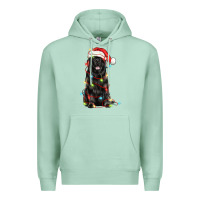 Seafoam christmas newfoundland dog Premium Hoodie - LillyAllenDesigns
