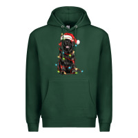Sports Green christmas newfoundland dog Premium Hoodie - LillyAllenDesigns