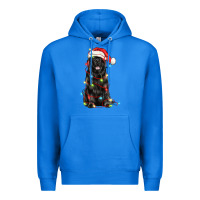 True Royal christmas newfoundland dog Premium Hoodie - LillyAllenDesigns