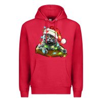 Cardinal christmas scottish fold cat Premium Hoodie - LillyAllenDesigns