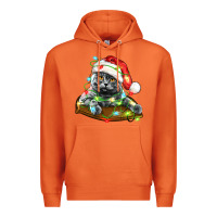 Carrot christmas scottish fold cat Premium Hoodie - LillyAllenDesigns