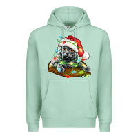Seafoam christmas scottish fold cat Premium Hoodie - LillyAllenDesigns