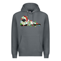 Rock christmas siamese cat Premium Hoodie - LillyAllenDesigns