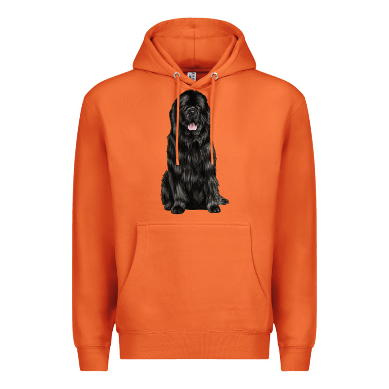 Newfoundland Dog Premium Hoodie by LillyAllenDesigns | Teevron