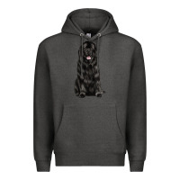 Charcoal Heather newfoundland dog Premium Hoodie - LillyAllenDesigns