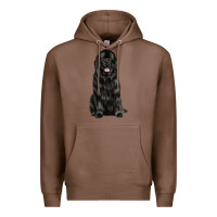 Chestnut newfoundland dog Premium Hoodie - LillyAllenDesigns