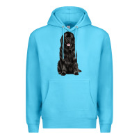 Ocean Blue newfoundland dog Premium Hoodie - LillyAllenDesigns