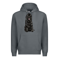 Rock newfoundland dog Premium Hoodie - LillyAllenDesigns