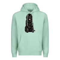 Seafoam newfoundland dog Premium Hoodie - LillyAllenDesigns
