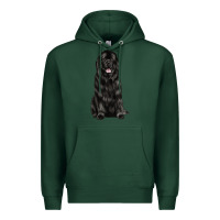 Sports Green newfoundland dog Premium Hoodie - LillyAllenDesigns