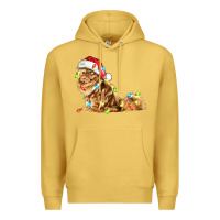 Antique Gold christmas persian cat Premium Hoodie - LillyAllenDesigns
