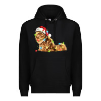 Black christmas persian cat Premium Hoodie - LillyAllenDesigns