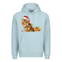 Blue Mist christmas persian cat Premium Hoodie - LillyAllenDesigns
