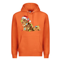 Carrot christmas persian cat Premium Hoodie - LillyAllenDesigns