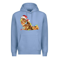 Colony Blue christmas persian cat Premium Hoodie - LillyAllenDesigns