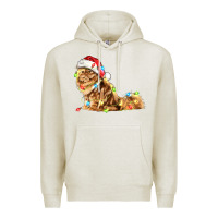Oatmeal Heather christmas persian cat Premium Hoodie - LillyAllenDesigns