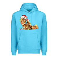 Ocean Blue christmas persian cat Premium Hoodie - LillyAllenDesigns