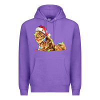 Purple christmas persian cat Premium Hoodie - LillyAllenDesigns