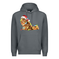 Rock christmas persian cat Premium Hoodie - LillyAllenDesigns