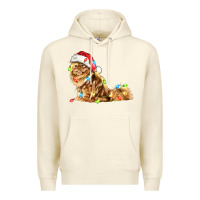 Sandshell christmas persian cat Premium Hoodie - LillyAllenDesigns