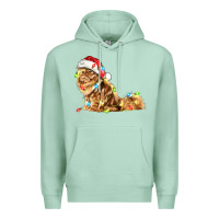 Seafoam christmas persian cat Premium Hoodie - LillyAllenDesigns