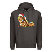 Smoke christmas persian cat Premium Hoodie - LillyAllenDesigns