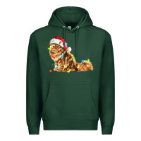 Sports Green christmas persian cat Premium Hoodie - LillyAllenDesigns